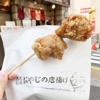 東京,神楽坂,食べ歩き,唐揚げ,串,休憩,散策,デート,アクセス